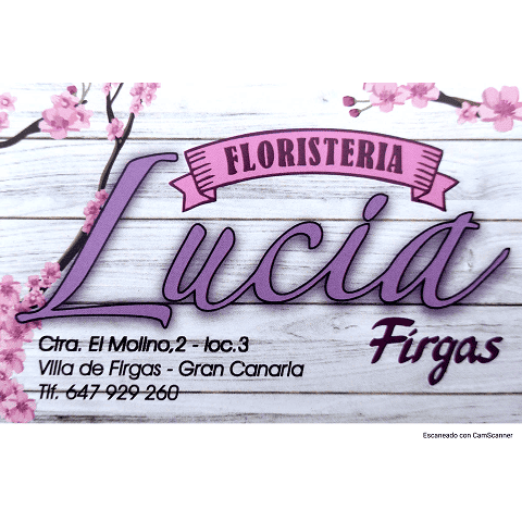 34 FLORISTERIA LUCIA FIRGAS