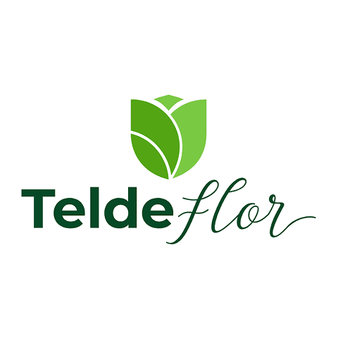 36 Chef-Solution.com • Teldeflor • el arte del Jamón